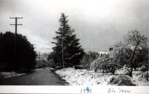 1949 Snow in Glendora